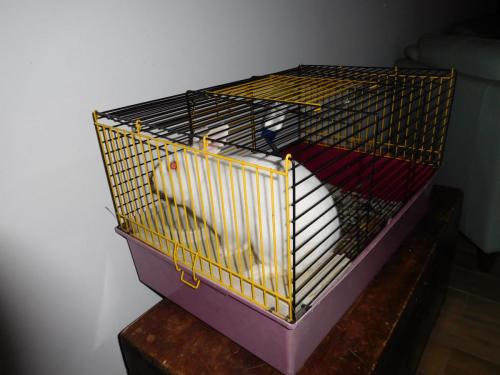 2015-01-01 00-00-00 (61).JPG