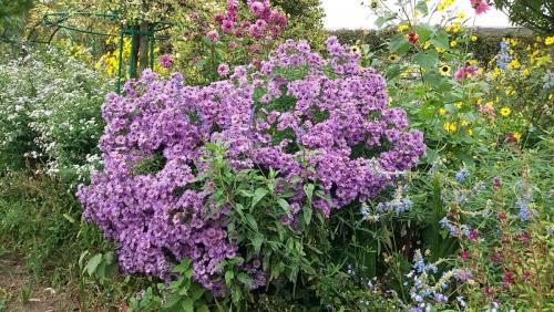 2017-10-10 12-51-16.JPG