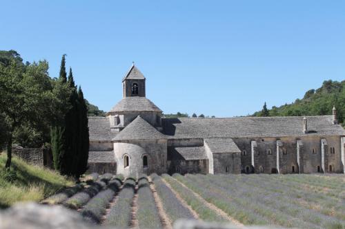 2017-06-25 12-08-55.JPG