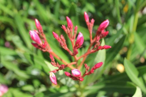 2017-06-25 11-00-07.JPG