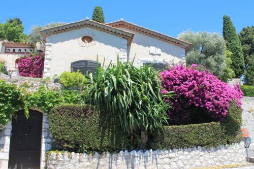 2017-06-29 14-24-55.JPG