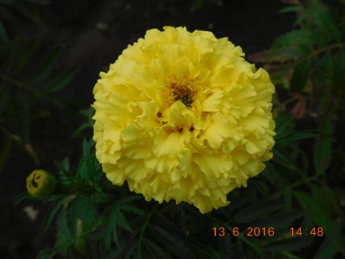 2016-06-13 14-48-16.JPG