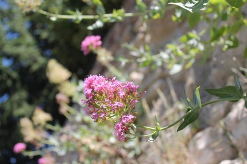 2017-06-25 14-12-06.JPG