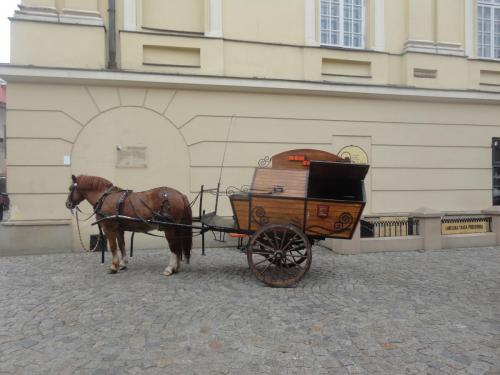 2015-09-25 14-28-02.JPG