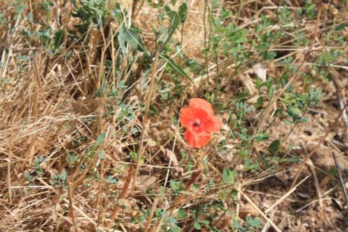 2017-06-26 12-06-30.JPG