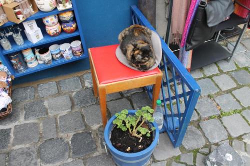 2015-09-27 14-44-33.JPG