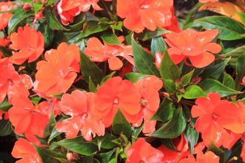 2017-06-30 16-25-47.JPG