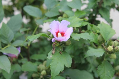 2015-09-29 11-11-03.JPG