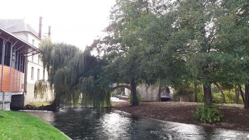 2017-10-09 16-16-45.JPG