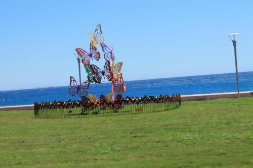 2017-06-29 13-45-29.JPG