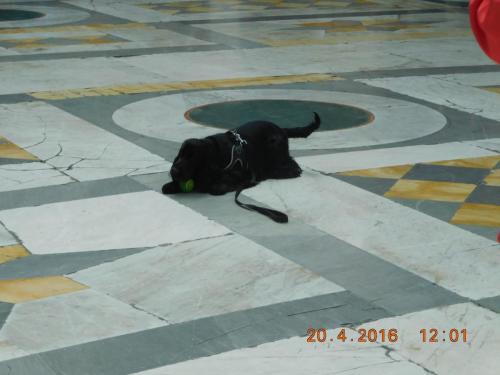 2016-04-20 12-01-20.JPG