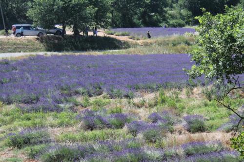 2017-06-25 16-33-18.JPG