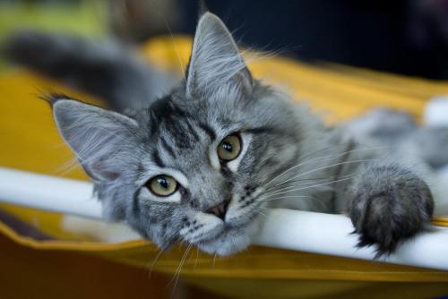 2016-01-08 22-15-34.JPG