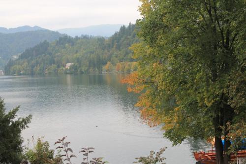 2015-10-02 12-21-49.JPG