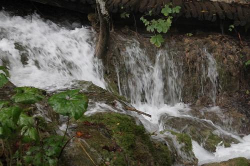 2015-09-29 14-02-19.JPG