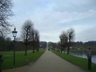 DSC02795.JPG