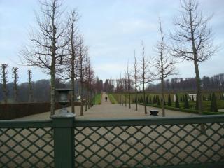 DSC02800.JPG
