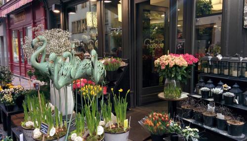 2018-01-05 09-40-24.JPG