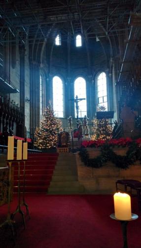 Елка в храме.JPG