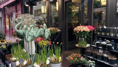 Страсбург цветы.JPG