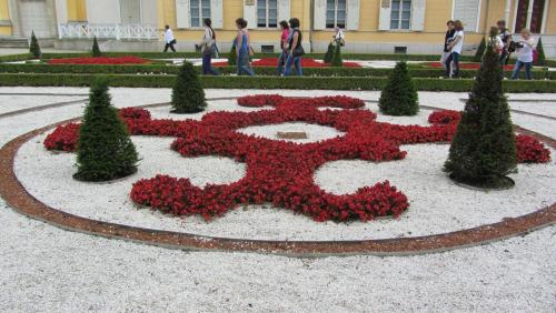 IMG_7073.JPG