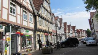 IMG_6769.JPG