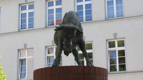 IMG_7020.JPG