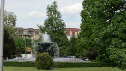 IMG_4770.JPG