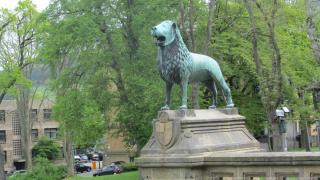 IMG_7540.JPG
