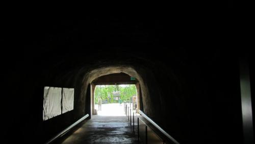IMG_4552.JPG