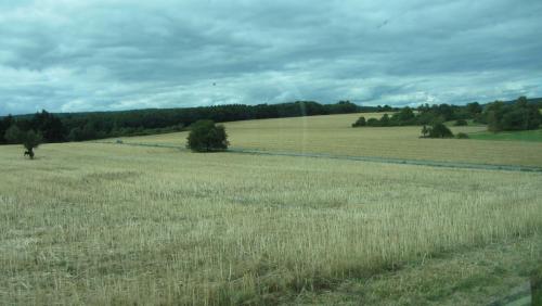 IMG_8715.JPG