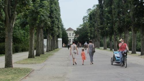 IMG_6645.JPG
