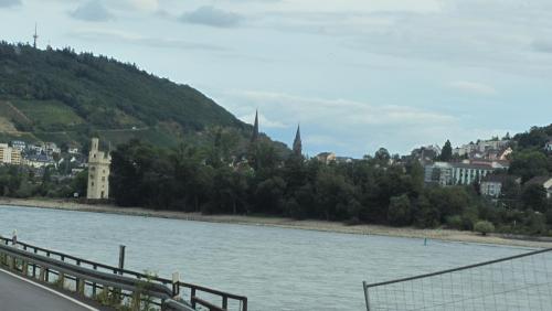 IMG_8654.JPG