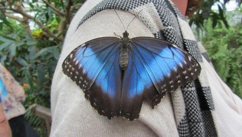 IMG_9772.JPG