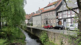 IMG_7225.JPG