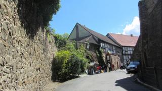 IMG_7873.JPG
