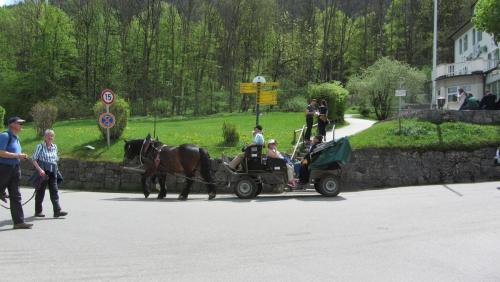 IMG_2250.JPG