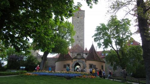 IMG_3520.JPG