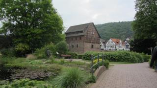 IMG_5989.JPG