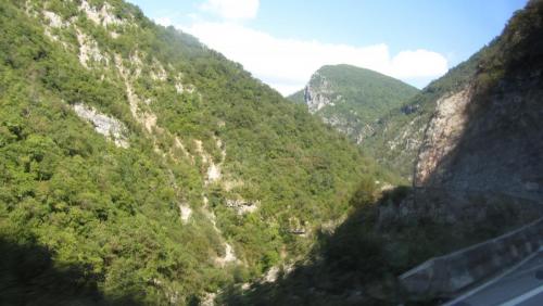 IMG_3493.JPG