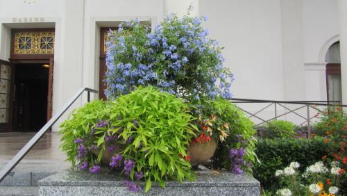 IMG_9282.JPG