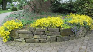 IMG_6118.JPG