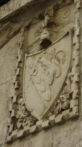 IMG_9952.JPG