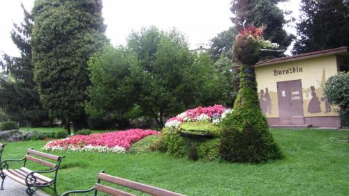 IMG_9052.JPG