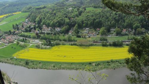 IMG_4437.JPG
