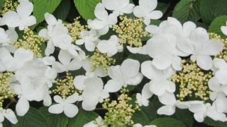 IMG_6389.JPG