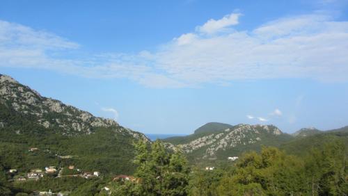 IMG_3343.JPG