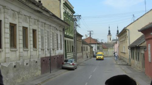 IMG_4873.JPG