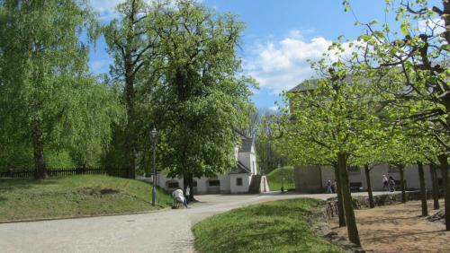 IMG_4656.JPG