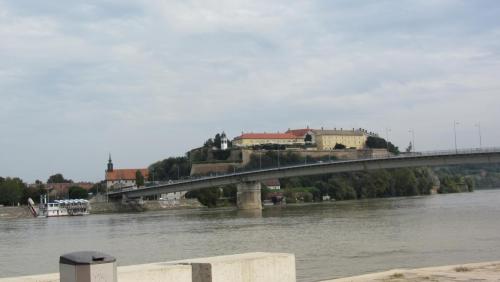 IMG_5263.JPG